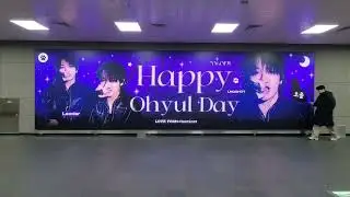 오율 ☆☆DMC역