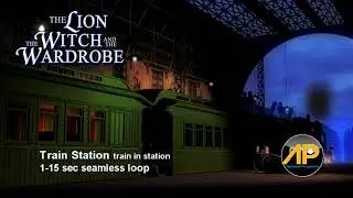 TRAIN STATION train in station 1 15sec seamless loop