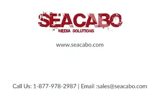 SEO - Tampa Clearwater Largo Search Engine Optimization & Website Development
