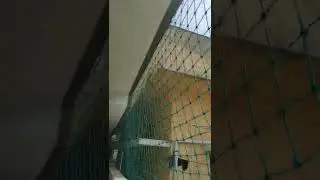 House Protection Safety Nets [Compound Safety Nets] @ 8886670800