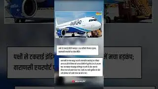 पक्षी से टकराई इंडिगो फ्लाइट! #like #news #newsupdate #newsheadlines #shortsfeed#flight #accident✈️
