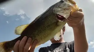 Fall bass fishing has never been better&hellip;