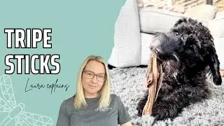 The Benefits of Tripe Sticks for Dogs