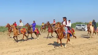 Horse Rewal Chal Racing в Векрии Ранне 2023