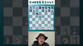 Quick Introduction to the Delayed Wing Gambit! #shorts