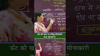 ऊँट की खाल पर प्रसिद्ध मीनाकारी कला कौनसी है ? | Very Informative video#rajasthangk#shorts