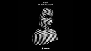 Barbuto - The Wolf Is Watching You (Original mix)