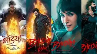 Bhediya Day 12 Box Office Collection | By Master Bollywood