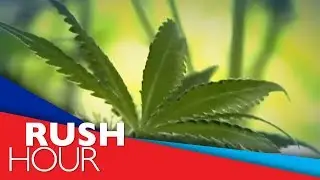 Duterte now against legalization of medical marijuana