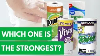 Which Paper Towel Brand Is Strongest?