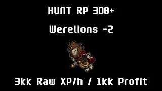 HUNT RP 300+ Werelion - RubinOT