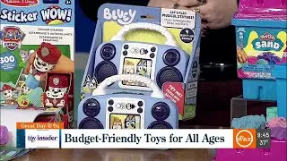 Budget-friendly toys with Toy Insider