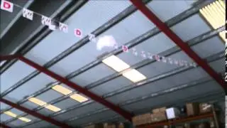 Recall training with cockatoos and macaws