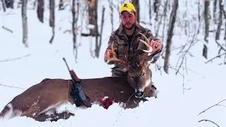 Tracking bucks in the White Mountains of New Hampshire!