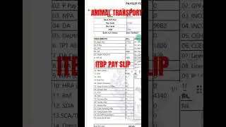 itbp animal transport salary