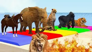 Long Slide Game With Elephant Gorilla Hippopotamus Tiger - 3d Animal Game - Funny 3d Animals