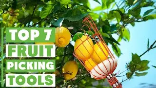 Top 7 Best Fruit Picking Tools for Home Orchards
