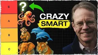 Expert Ranks Every Animal Group by Social Intelligence! Tier List