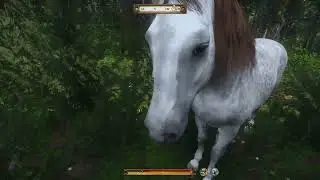 Playing Kingdom Come: Deliverance After KCD 2 - See You Soon Hans (Prologue) Part 13