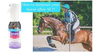 How to liniment your horse after cross country!!