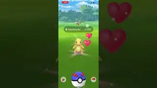 One of the shinies I caught during the charmander community day classic