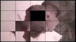 cin 4D PROMO