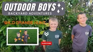 Wild Orange Hunt