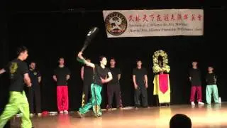 2015 Chinese Martial Arts Festival - Feng Huang Wushu Demo