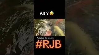 Alt carpe ko&iuml; 😂