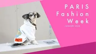 Tinkerbelle the Dog at Paris Fashion Week January 2020