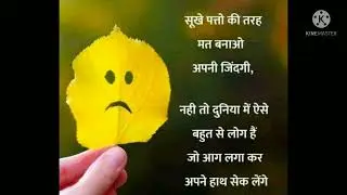 daily status