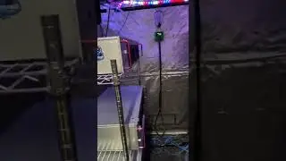 What will happend in the GPU Mining Tent
