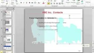 PowerPoint 2010 Create a Mirror Image of an Object