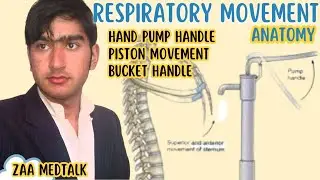 Rib Cage Movements in Respiration | Bucket Handle, Pump Handle & Caliper Explained