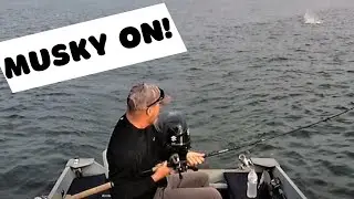Alum Creek Muskie Fishing