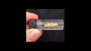 Gold Panning Lead Hills , Wanlockhead , Scotland part 1