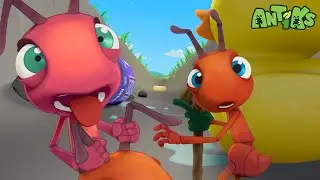 Insane in the Drain | BRAND | Kids TV Shows | Cartoons For Kids | Fun Anime | Popular video
