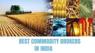 3 Best Commodity Brokers in India