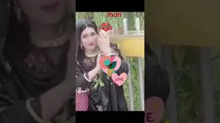 জানতাম নারে তোমার প্রেমে হবে এমন হাল এই গানের শর্ট ভিডিও