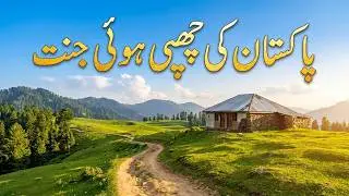 Shankiari Hut Meadows Part 2