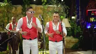 Chiquito Team Band - QUE BELLO (en vivo) #salsa
