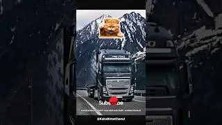 SIAPA YANG TAU NAMA MOBIL TRUK INI❓#shorts #trukcargo #trukeropa