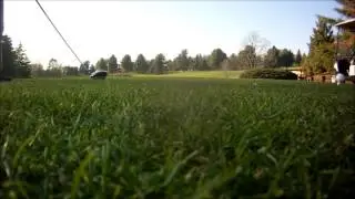 Williston Golf Club