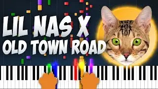 Lil Nas X - Old Town Road feat. Billy Ray Cyrus Cat Meow Covers 