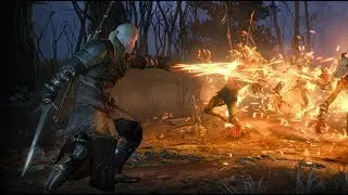 The Witcher 3  Improved Sign effects mods