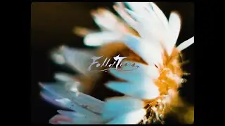 Fall of Tears - 