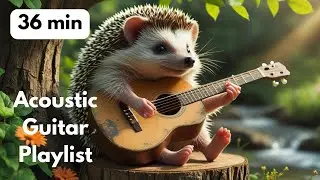 Acoustic Guitar Music 36 Minutes | Studying, Learning Calm Relaxing Background Instrumental Playlist