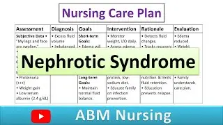 Nursing Care Plan On Nephrotic Syndrome | NCP on Nephrotic Syndrome in Hindi | ABM Nursing