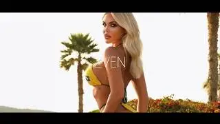 BeeBars & Zven - Veteran