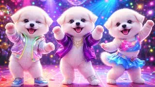 💖Cute Puppy Crazy dancing 😆💃 Funny Video for Dogs 🐶🐶 # dog # puppydance # puppyvideos # viraldance 